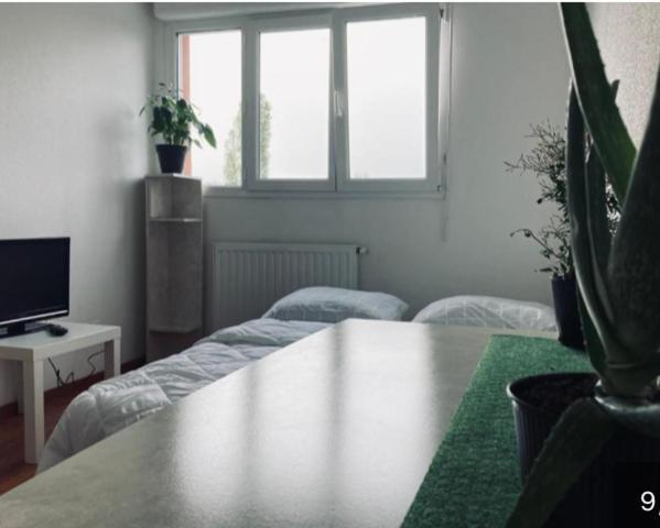 Zenith Strasbourg 2 Chambre 埃克博尔塞姆 外观 照片
